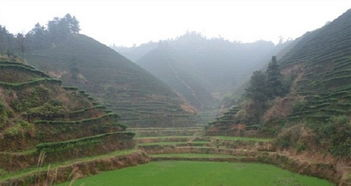 泰安明天天氣預(yù)報(bào)_明天天氣預(yù)報(bào)泰安有雨嗎多少度啊呢