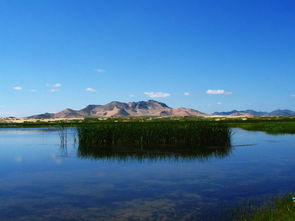 仙桃30天天氣預(yù)報，精準(zhǔn)預(yù)測未來一個月的天氣變化