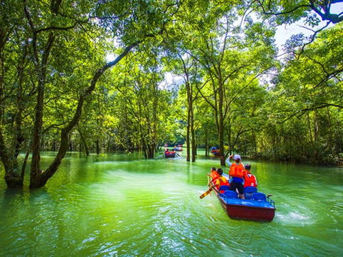 海寧市天氣預(yù)報15天_杭州海寧市天氣預(yù)報15天準(zhǔn)確