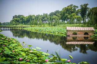 南縣天氣預(yù)報15天準(zhǔn)確,思南縣天氣預(yù)報15天準(zhǔn)確