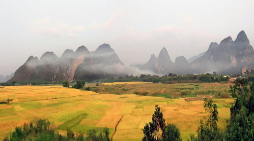 青岡天氣預(yù)報_青岡天氣預(yù)報 逐小時