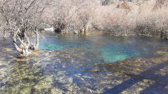 青川縣天氣預報_四川省青川縣金子山天氣預報