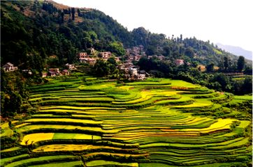 雁蕩山天氣_雁蕩山風(fēng)景區(qū)天氣預(yù)報(bào)30天